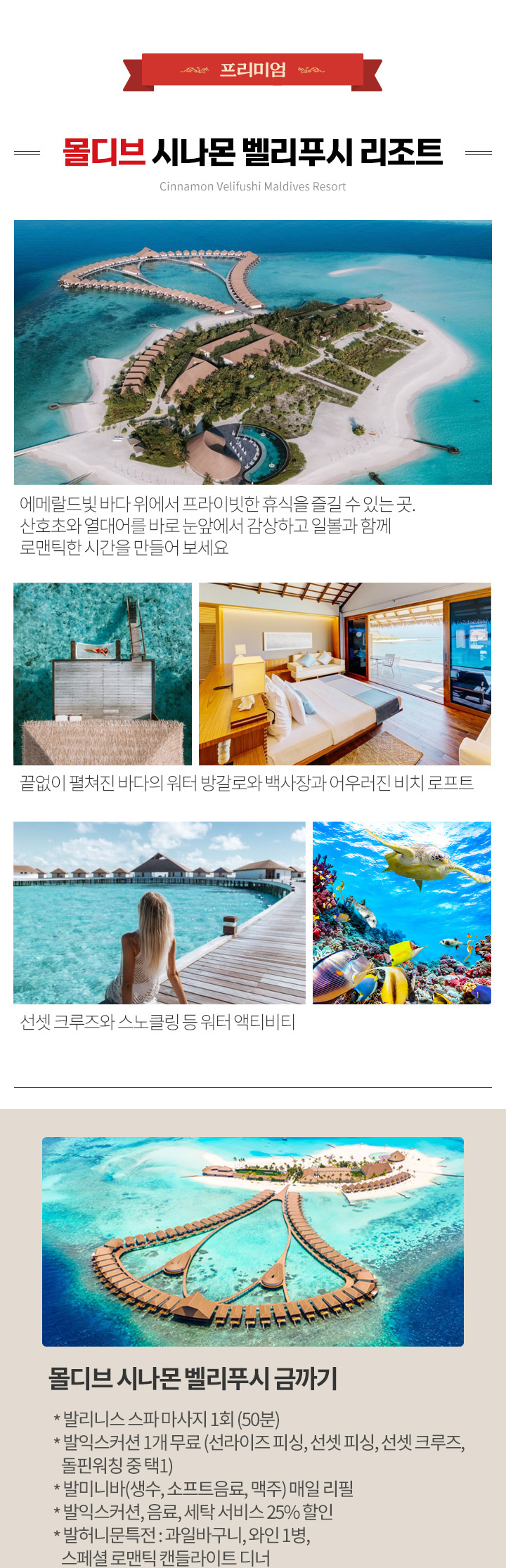 몰디브 시나몬 벨리푸시