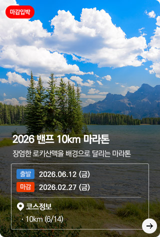 ����-����