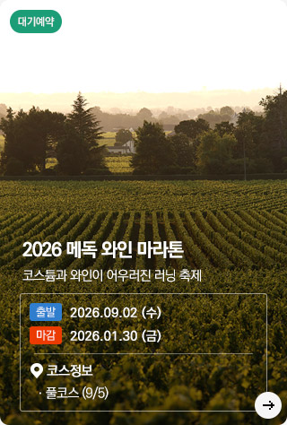 ����-�޵� ����